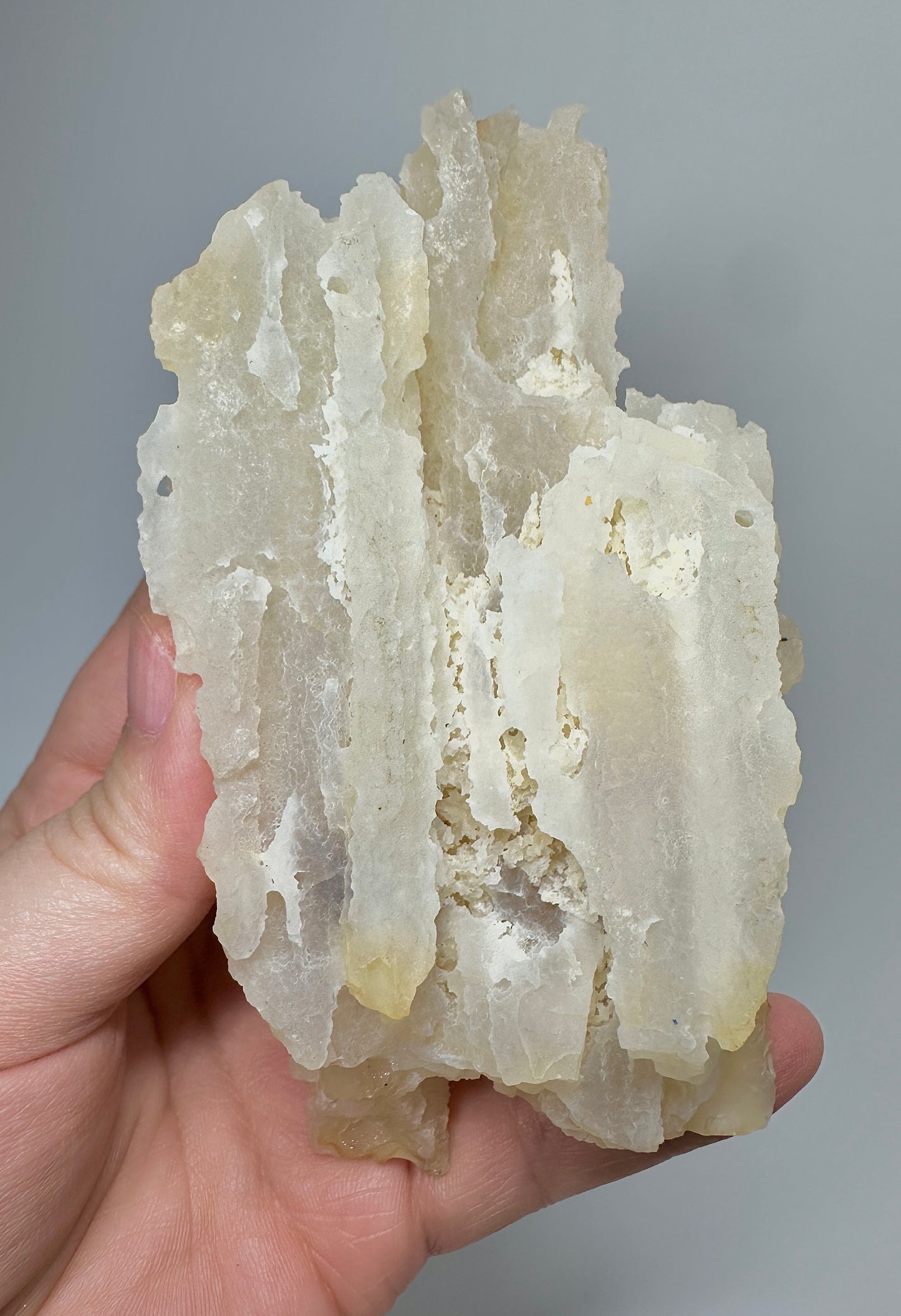 Indonesian Tube Agate Specimen | Natural Tubular Agate Crystal from Indonesia