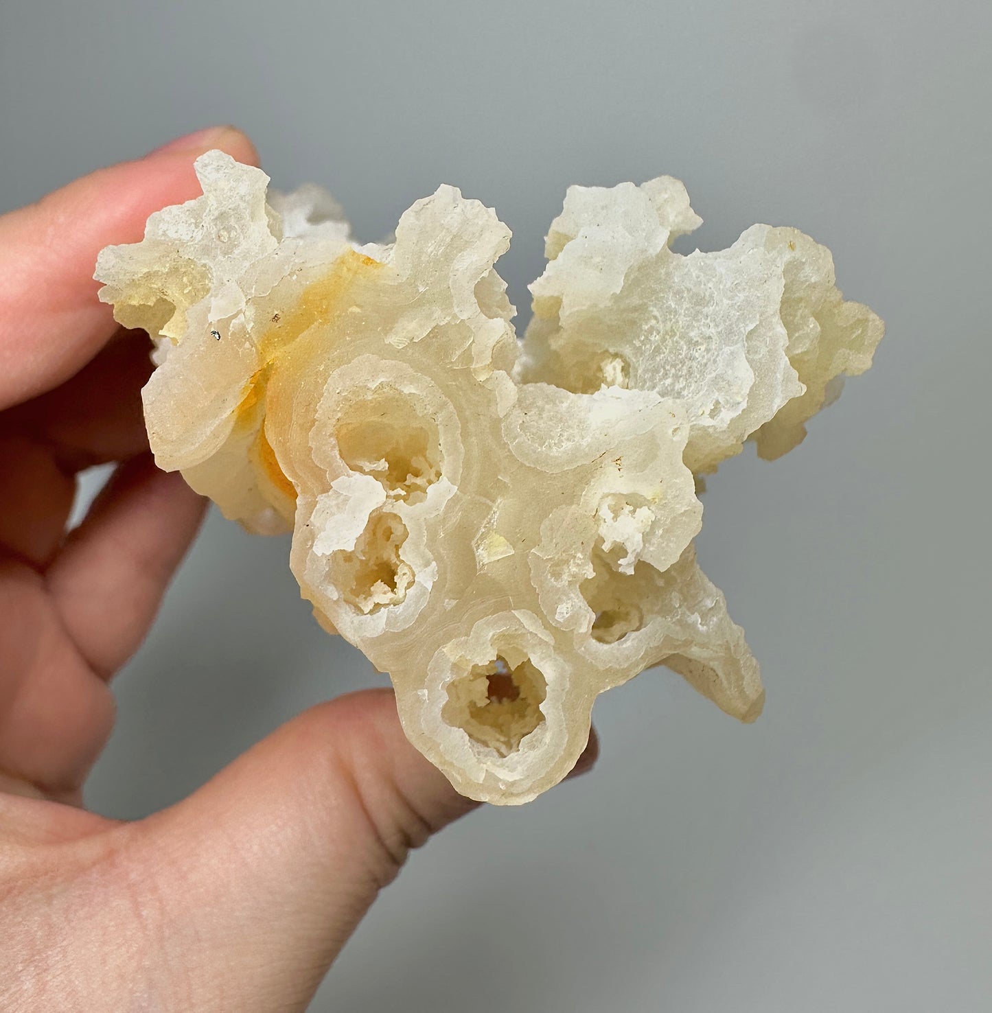 Indonesian Tube Agate Specimen | Natural Tubular Agate Crystal from Indonesia