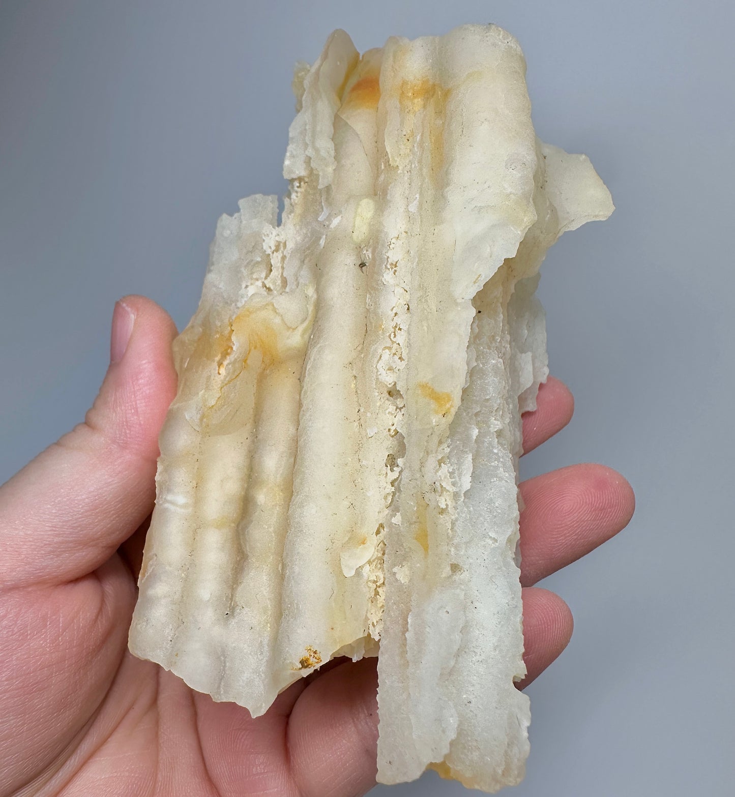 Indonesian Tube Agate Specimen | Natural Tubular Agate Crystal from Indonesia