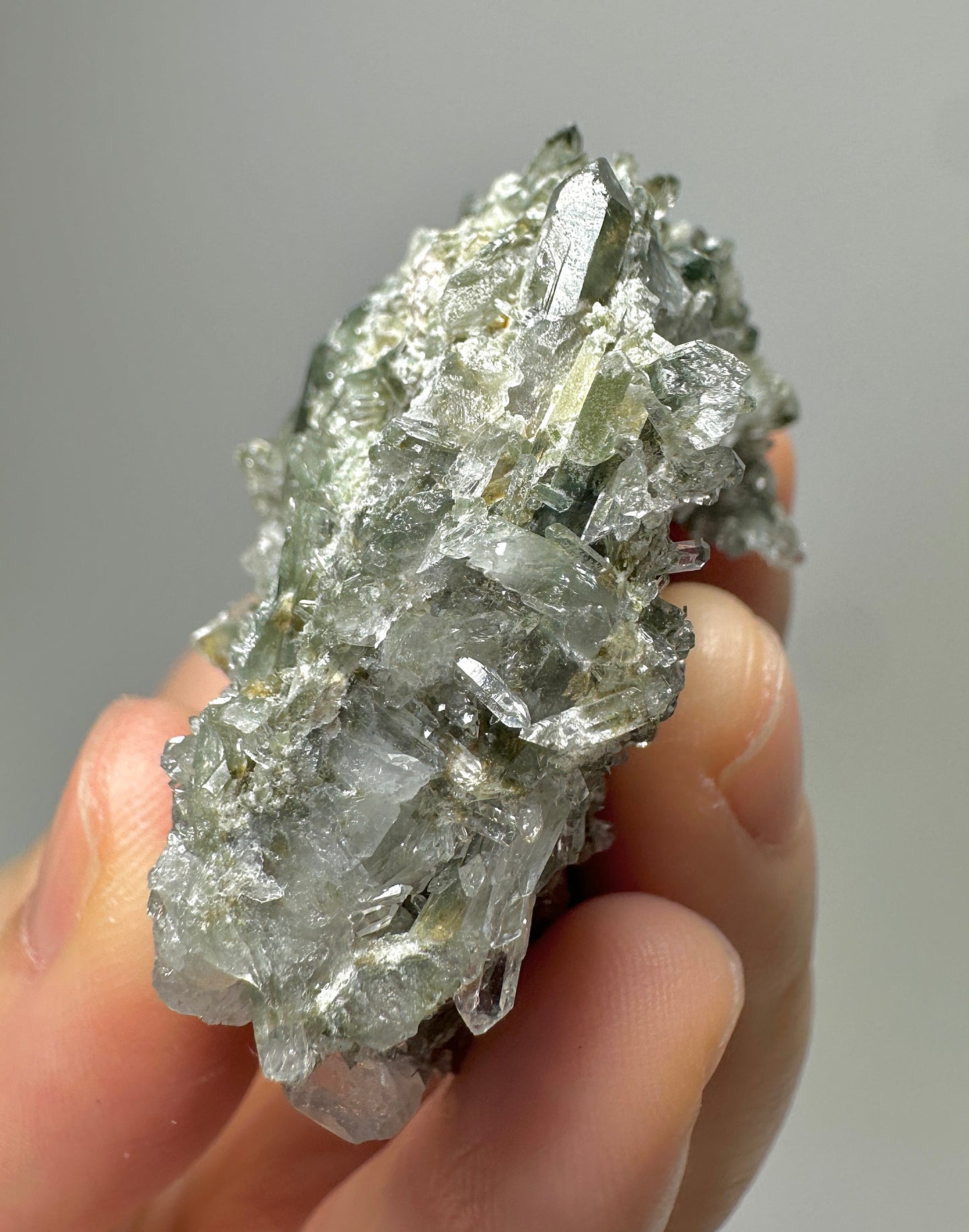 Green Phantom Quartz Crystal Cluster from Jinkouhe China | Natural Chlorite Included Quartz Mineral Specimen