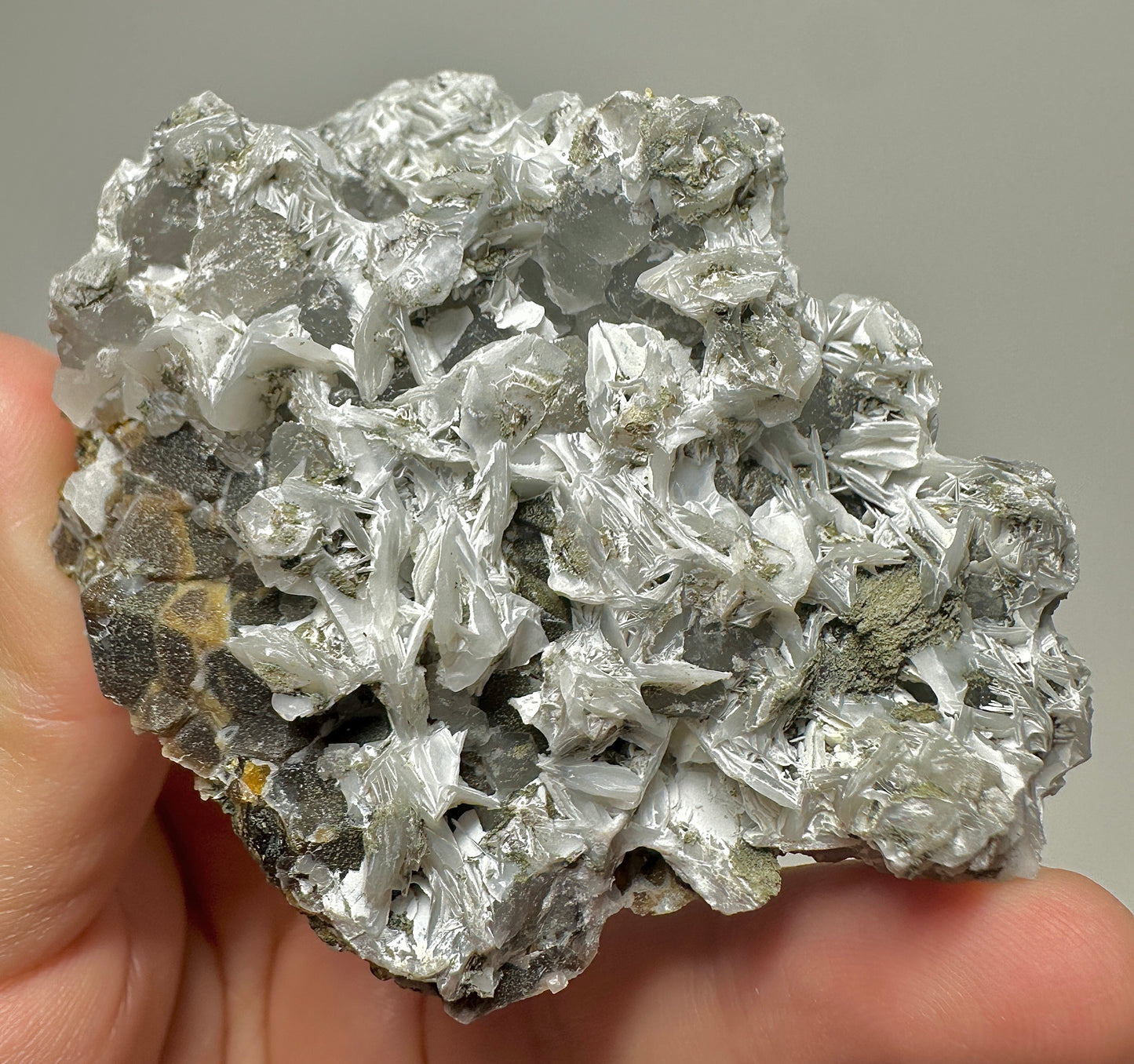 Inner Mongolia Calcite with Andradite Garnet & Green Chlorite – Natural Crystal Mineral Specimen from China